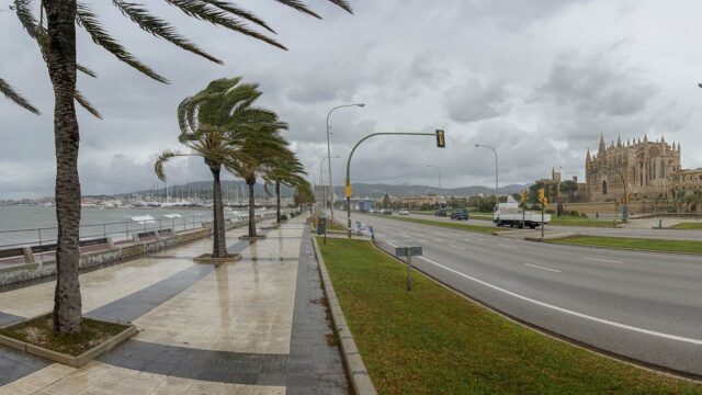 Regen Palma de Mallorca