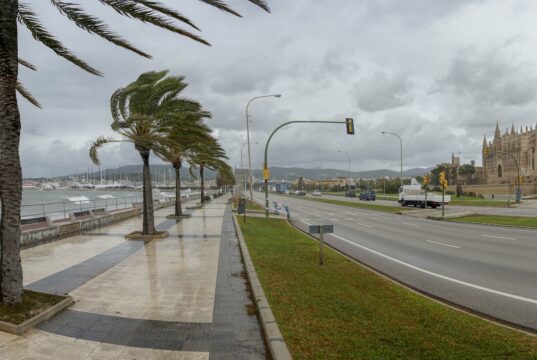 Sturm Regen Palma de Mallorca