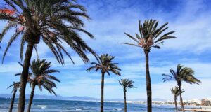Mallorca Winter Strand