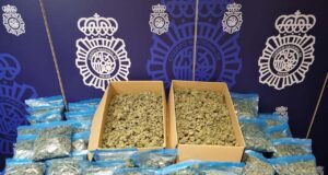 Polizei schnappt großen Marihuana-Produzenten auf Mallorca